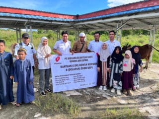PT BSS Salurkan 19 Ekor Sapi Qurban di Kotabaru