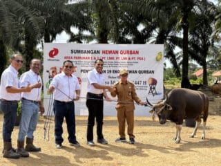 Empat Anak Usaha Minamas Plantation Salurkan 34 Ekor Sapi Qurban